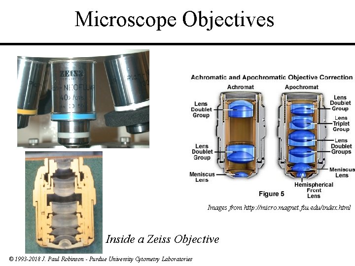 Microscope Objectives Images from http: //micro. magnet. fsu. edu/index. html Inside a Zeiss Objective