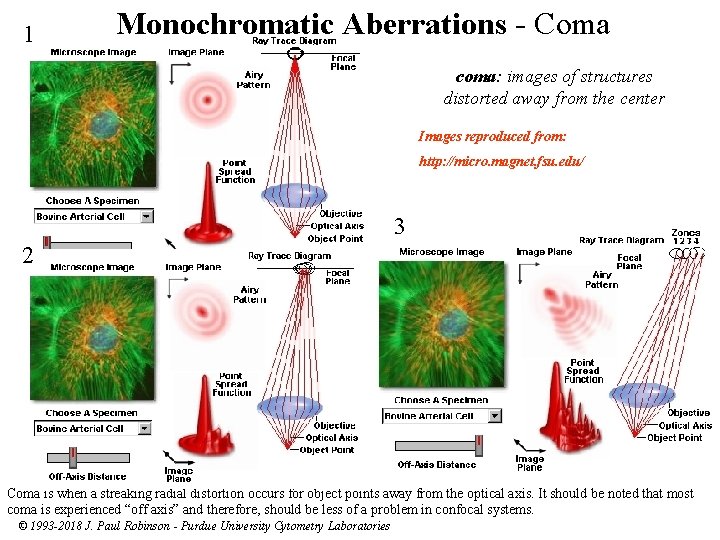 1 Monochromatic Aberrations - Coma coma: images of structures distorted away from the center