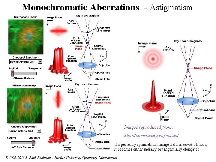 Monochromatic Aberrations - Astigmatism Images reproduced from: http: //micro. magnet. fsu. edu/ If a