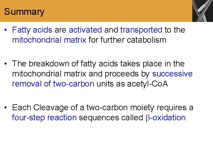 Summary • Fatty acids are activated and transported to the mitochondrial matrix for further