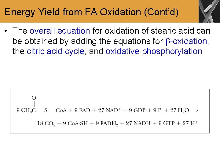 Energy Yield from FA Oxidation (Cont’d) • The overall equation for oxidation of stearic