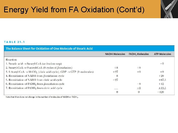 Energy Yield from FA Oxidation (Cont’d) 