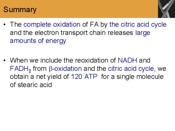 Summary • The complete oxidation of FA by the citric acid cycle and the