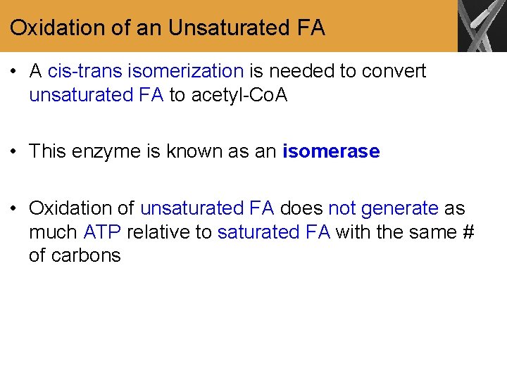 Oxidation of an Unsaturated FA • A cis-trans isomerization is needed to convert unsaturated