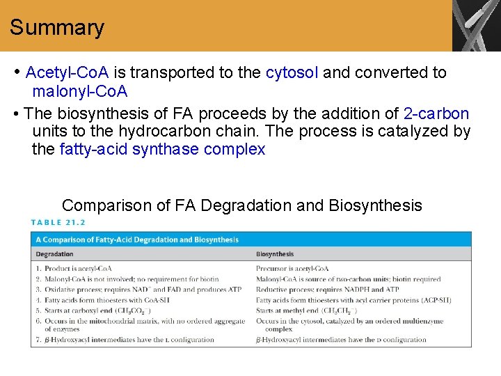 Summary • Acetyl-Co. A is transported to the cytosol and converted to malonyl-Co. A