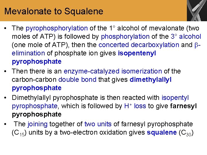 Mevalonate to Squalene • The pyrophosphorylation of the 1° alcohol of mevalonate (two moles