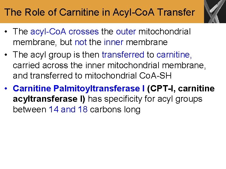 The Role of Carnitine in Acyl-Co. A Transfer • The acyl-Co. A crosses the