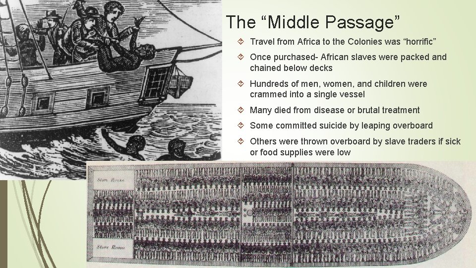 The “Middle Passage” Travel from Africa to the Colonies was “horrific” Once purchased- African