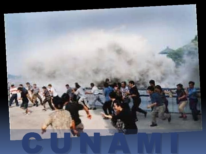 CUNAMI CUNAMI