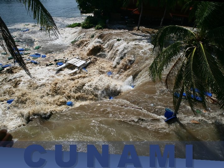 CUNAMI CUNAMI