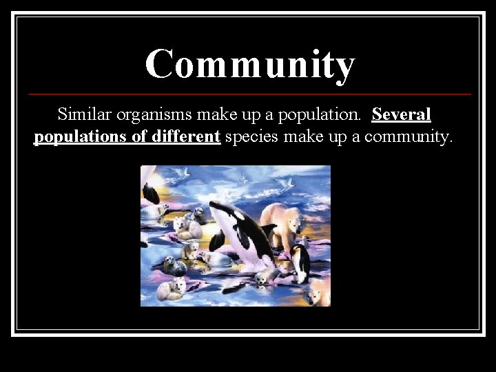 Community Similar organisms make up a population. Several populations of different species make up