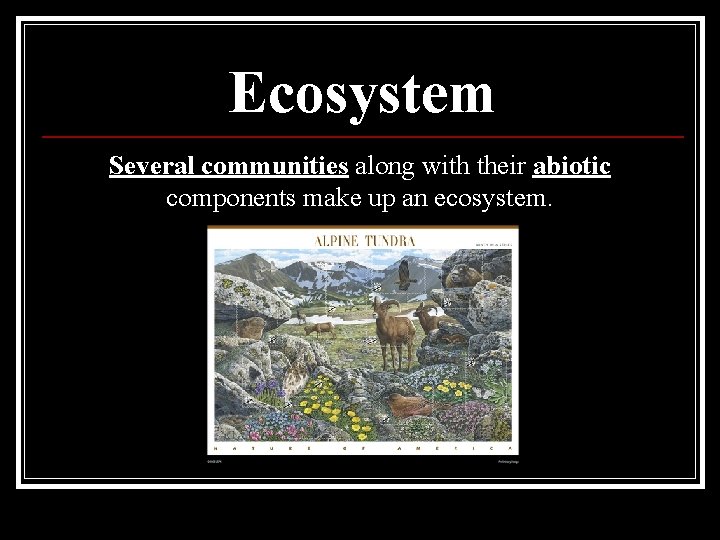 Ecosystem Several communities along with their abiotic components make up an ecosystem. 