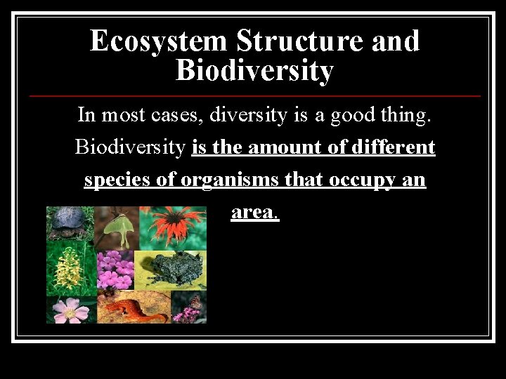 Ecosystem Structure and Biodiversity In most cases, diversity is a good thing. Biodiversity is