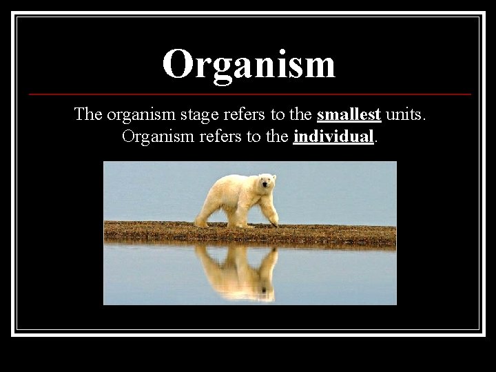 Organism The organism stage refers to the smallest units. Organism refers to the individual.