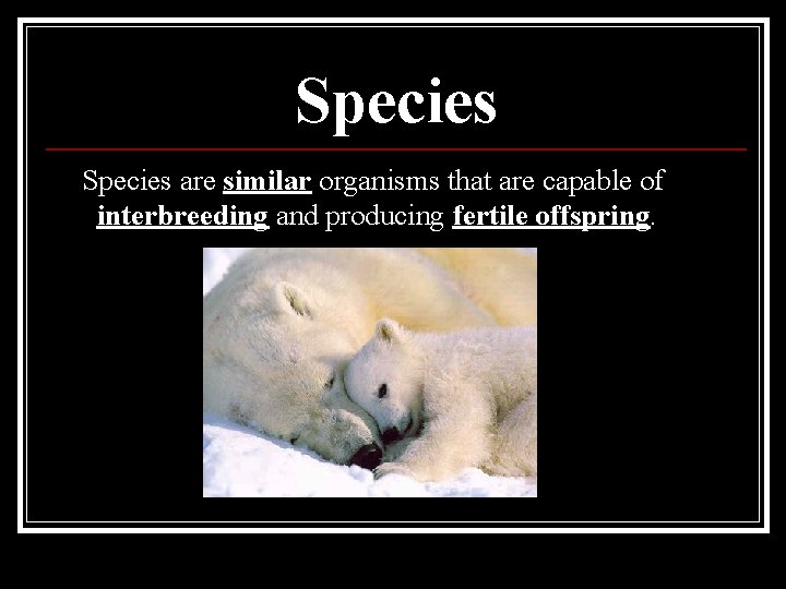 Species are similar organisms that are capable of interbreeding and producing fertile offspring. 