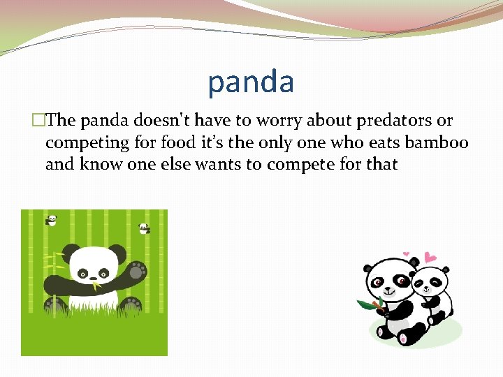 panda �The panda doesn't have to worry about predators or competing for food it’s