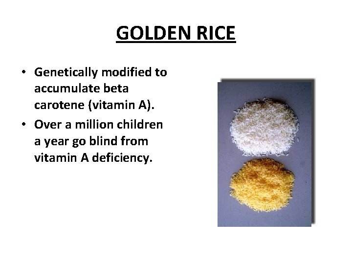 GOLDEN RICE • Genetically modified to accumulate beta carotene (vitamin A). • Over a