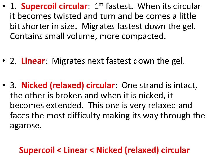  • 1. Supercoil circular: 1 st fastest. When its circular it becomes twisted