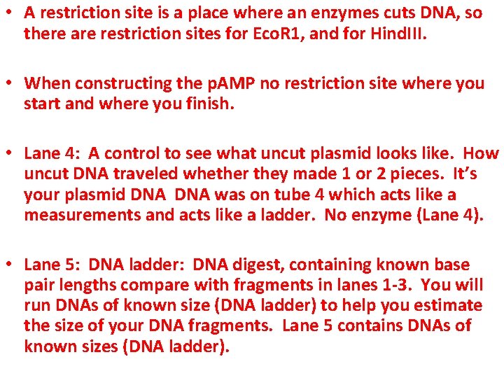  • A restriction site is a place where an enzymes cuts DNA, so