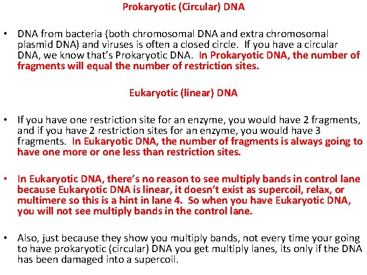 Prokaryotic (Circular) DNA • DNA from bacteria (both chromosomal DNA and extra chromosomal plasmid