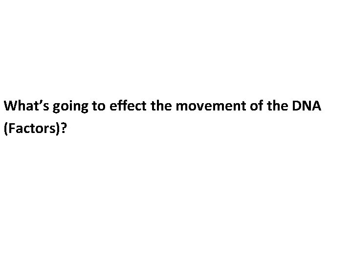 What’s going to effect the movement of the DNA (Factors)? 