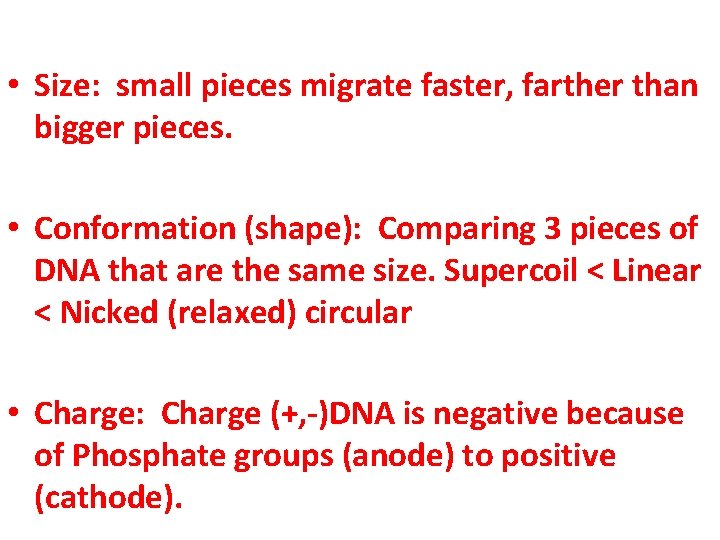  • Size: small pieces migrate faster, farther than bigger pieces. • Conformation (shape):