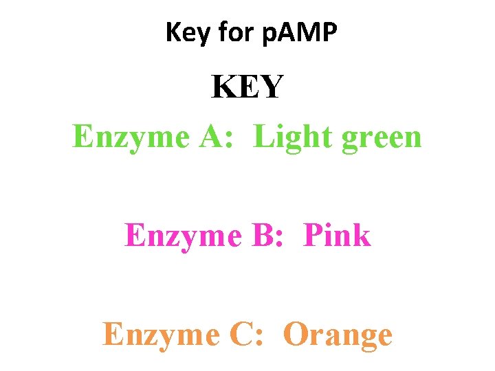 Key for p. AMP KEY Enzyme A: Light green Enzyme B: Pink Enzyme C: