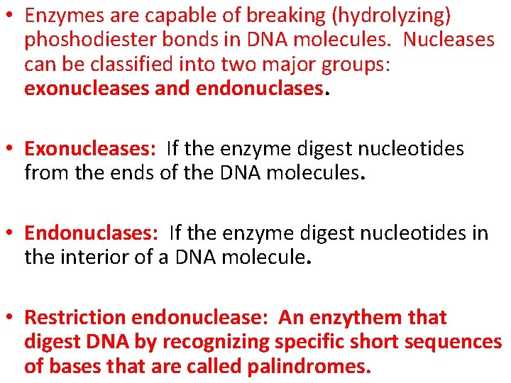  • Enzymes are capable of breaking (hydrolyzing) phoshodiester bonds in DNA molecules. Nucleases