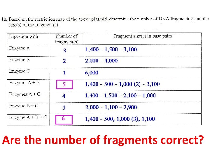 Are the number of fragments correct? 