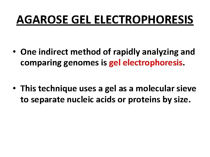 AGAROSE GEL ELECTROPHORESIS • One indirect method of rapidly analyzing and comparing genomes is