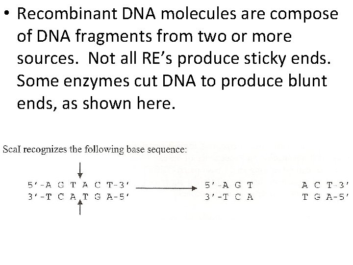  • Recombinant DNA molecules are compose of DNA fragments from two or more