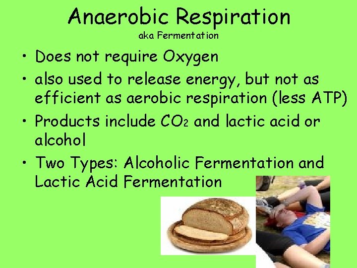 Anaerobic Respiration aka Fermentation • Does not require Oxygen • also used to release