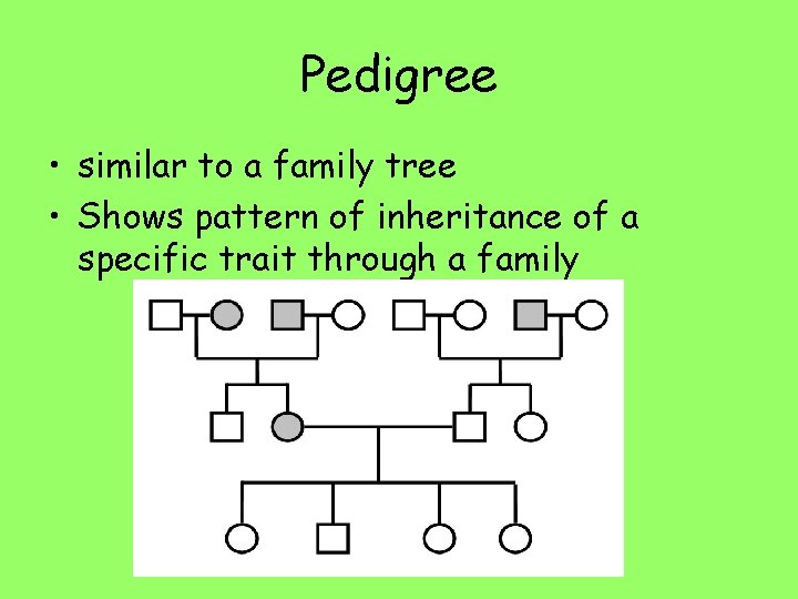 Pedigree • similar to a family tree • Shows pattern of inheritance of a