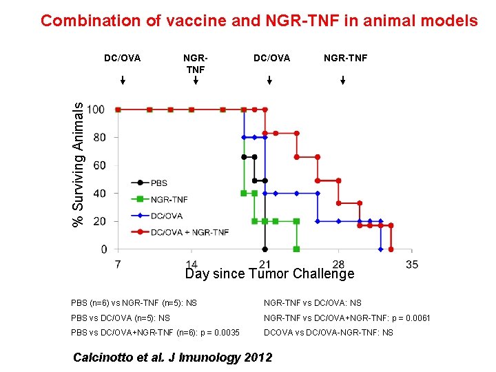 Combination of vaccine and NGR-TNF in animal models NGRTNF DC/OVA NGR-TNF % Surviving Animals