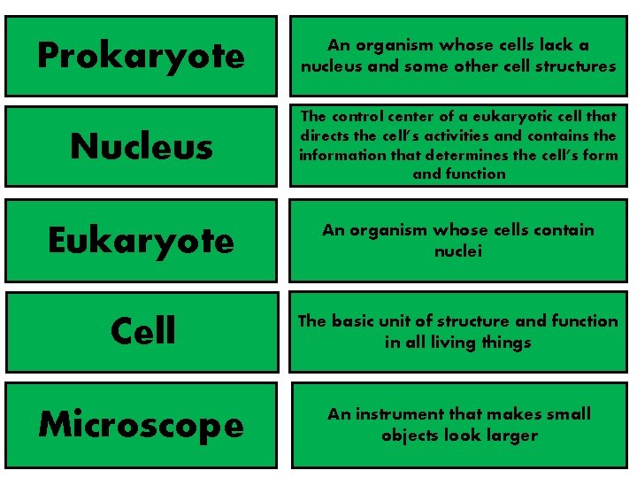 Prokaryote An organism whose cells lack a nucleus and some other cell structures Nucleus