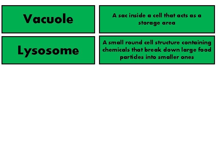 Vacuole A sac inside a cell that acts as a storage area Lysosome A