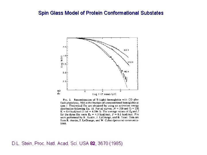 Spin Glass Model of Protein Conformational Substates D. L. Stein, Proc. Natl. Acad. Sci.