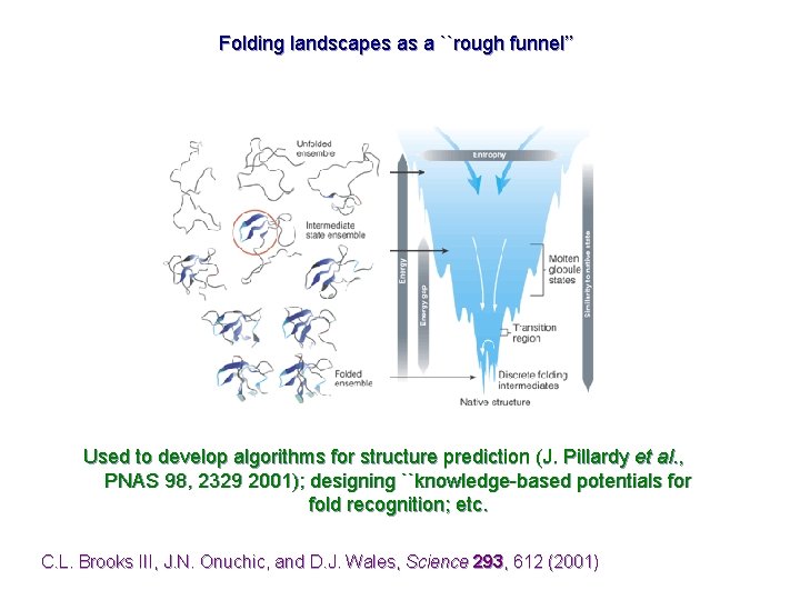 Folding landscapes as a ``rough funnel’’ Used to develop algorithms for structure prediction (J.