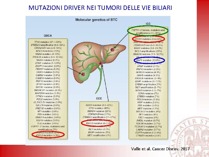 MUTAZIONI DRIVER NEI TUMORI DELLE VIE BILIARI Valle et al. Cancer Discov. 2017 