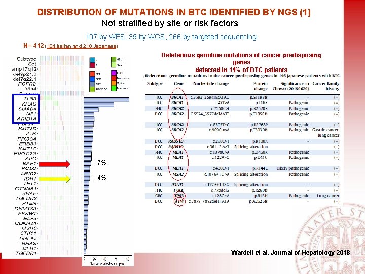 DISTRIBUTION OF MUTATIONS IN BTC IDENTIFIED BY NGS (1) Not stratified by site or