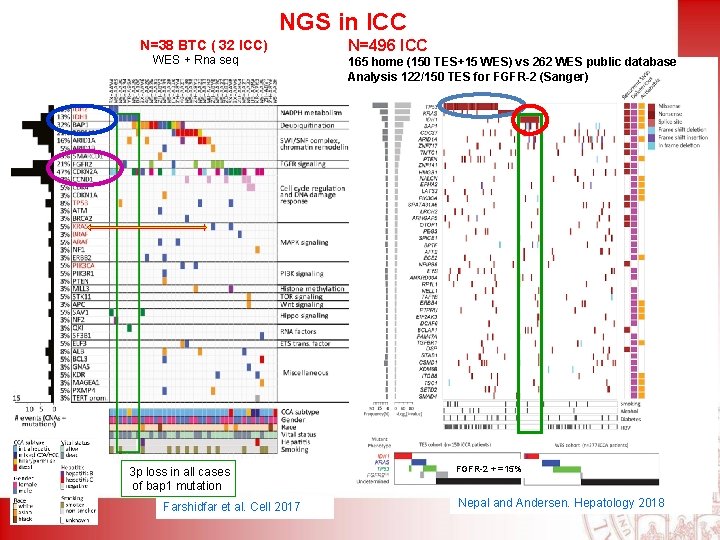 NGS in ICC N=38 BTC ( 32 ICC) WES + Rna seq 3 p