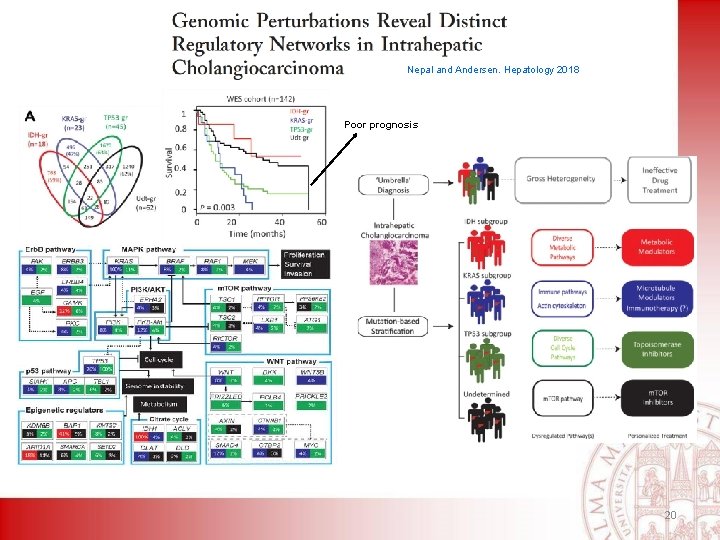 Nepal and Andersen. Hepatology 2018 Poor prognosis 20 