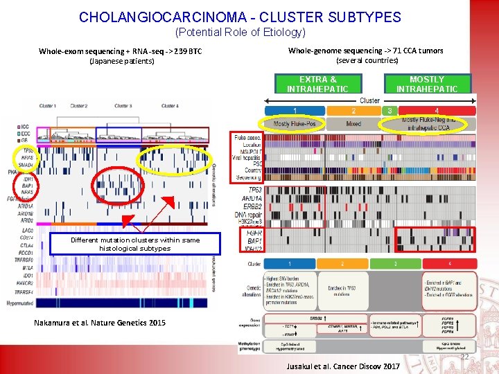 CHOLANGIOCARCINOMA - CLUSTER SUBTYPES (Potential Role of Etiology) Whole-exom sequencing + RNA -seq ->