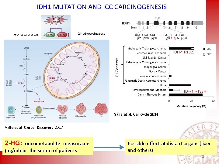 IDH 1 MUTATION AND ICC CARCINOGENESIS α-chetaglutarate 2 -hydroxyglutarate IDH-1 R 132 C IDH-1