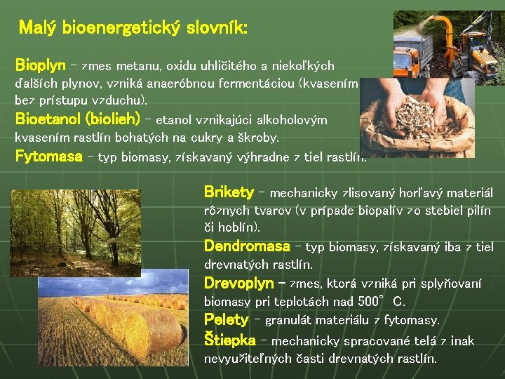 Malý bioenergetický slovník: Bioplyn – zmes metanu, oxidu uhličitého a niekoľkých ďalších plynov, vzniká