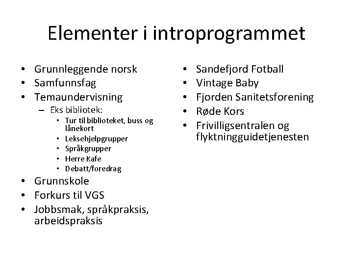 Elementer i introprogrammet • Grunnleggende norsk • Samfunnsfag • Temaundervisning – Eks bibliotek: •
