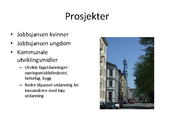 Prosjekter • Jobbsjansen kvinner • Jobbsjansen ungdom • Kommunale utviklingsmidler – Utvikle fagutdanninger: næringsmiddelindustri,