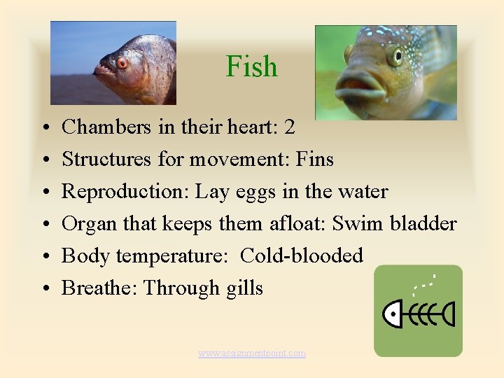 Fish • • • Chambers in their heart: 2 Structures for movement: Fins Reproduction: Fish • • • Chambers in their heart: 2 Structures for movement: Fins Reproduction: