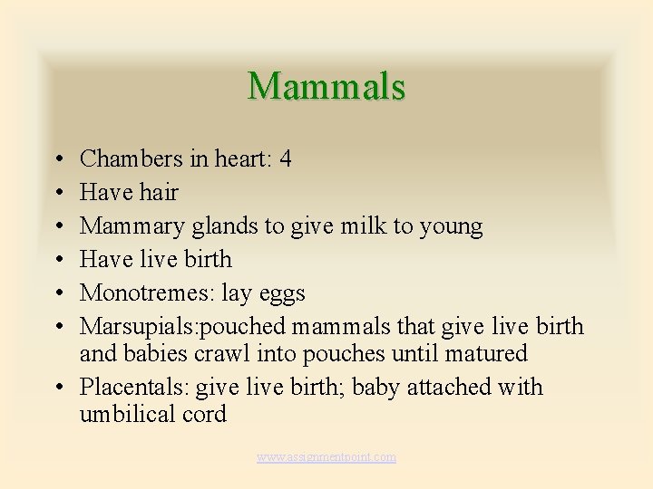 Mammals • • • Chambers in heart: 4 Have hair Mammary glands to give Mammals • • • Chambers in heart: 4 Have hair Mammary glands to give