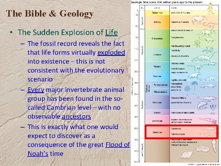 The Bible & Geology • The Sudden Explosion of Life – The fossil record